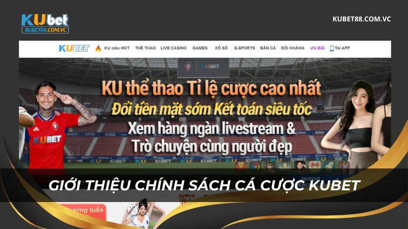 Giới thiệu chính sách cá cược Kubet