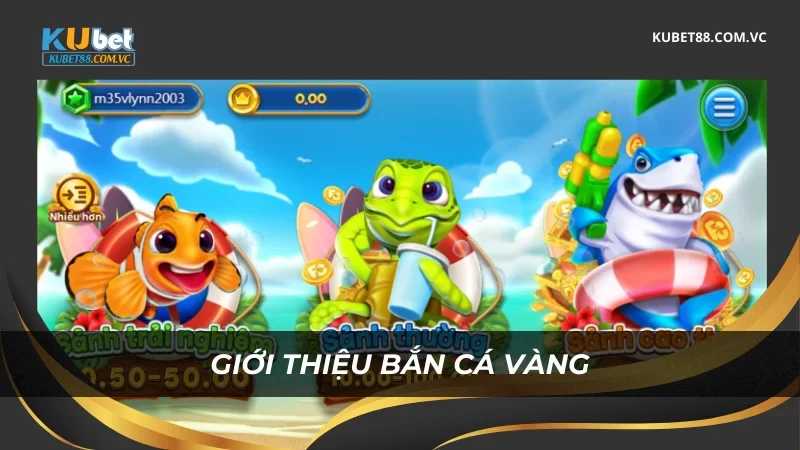 Giới thiệu