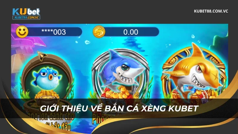 Giới thiệu về bắn cá xèng Kubet