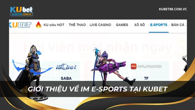 Giới thiệu về IM E-sports