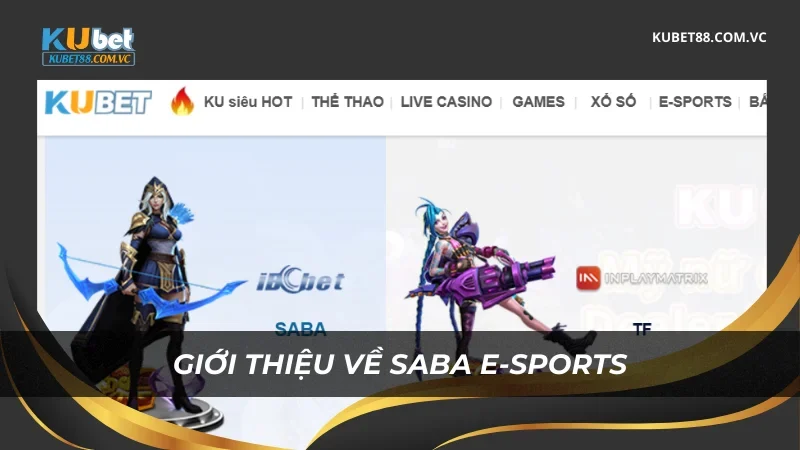 Giới thiệu về SABA E-sports