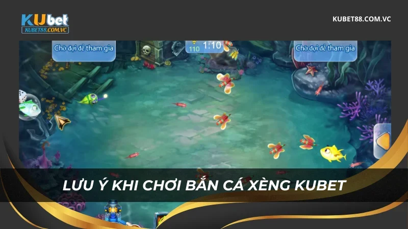 Lưu ý khi chơi bắn cá xèng Kubet